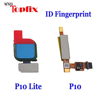 Новинка Для Huawei P10/10 Plus Home Key Кнопка Датчика Отпечатков Пальцев Гибкий Кабель Для Huawei P10 Lite Touch ID Fingerprint Flex