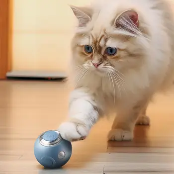 Игрушка для кошек разных размеров, не содержащая бисфенола А, стимулирует охотничьи инстинкты благодаря устойчивой к укусам игрушке-мячику для дразнения кошек, скрытому порту зарядки для кошек