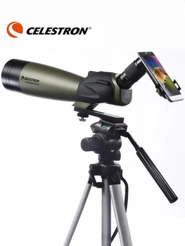 Угловая зрительная труба Celestron-Ultima, окуляр с 20-60-кратным увеличением, Многослойная оптика, Водонепроницаемая для наблюдения за птицами, Дикая природа, 80 мм