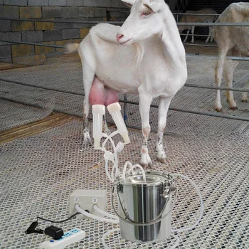 Импульсный доильный аппарат для овец / коров объемом 3/7 / 14л С автоматической остановкой Вакуумный насос для молока из нержавеющей стали Электрическое доильное оборудование
