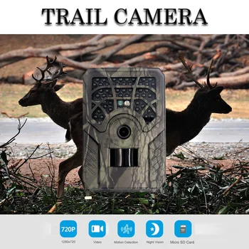 Trail Hunting-Камера Wildcamera для наблюдения за дикой природой, ночная версия, Камеры для разведки дикой природы, фотоловушки для трека